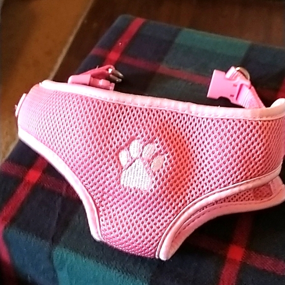 Other - Top Paw Harness